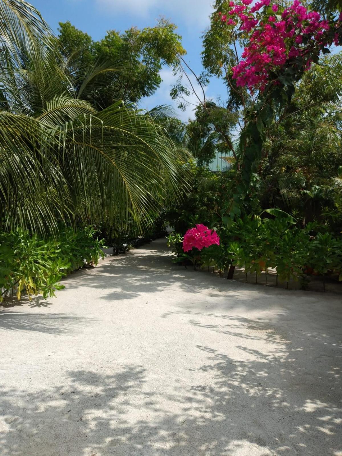 Sunrise Inn Thoddoo Exterior photo